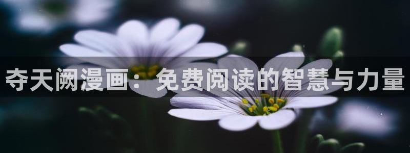 酷漫屋下拉式(免费漫画)在线观看：夺天阙漫画：免费阅读的智慧与力量