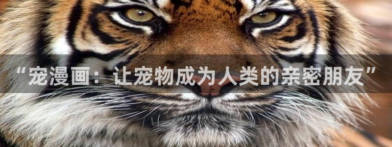 酷漫屋下拉式(免费漫画)史诗级
