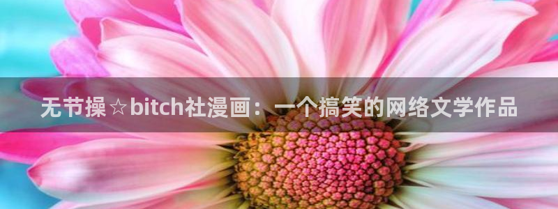 酷漫屋下拉式(免费漫画)-酷漫屋下拉式：无节操☆bitch社漫画：一个搞笑的网络文学作品
